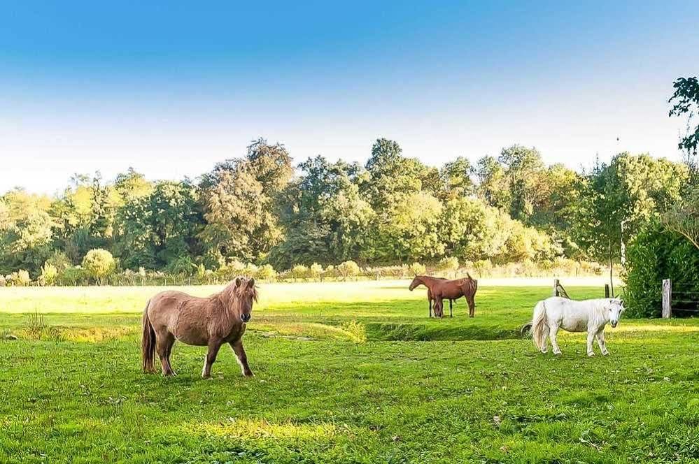 Le Clos Des Vignes Neuville-Bosc Buitenkant foto